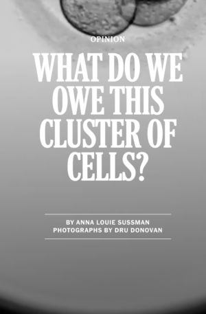 The Embryo Question cover image